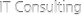 IT Consulting